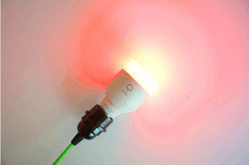 Using Ext JS App To Flash Light Bulb
